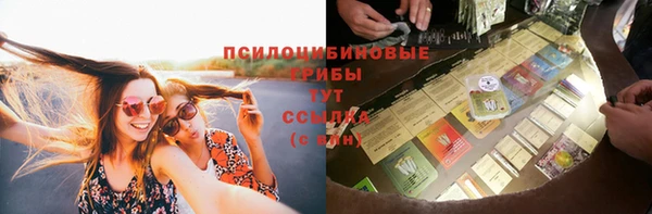 spice Аркадак