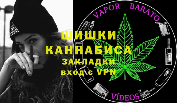 spice Аркадак