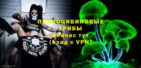 spice Аркадак