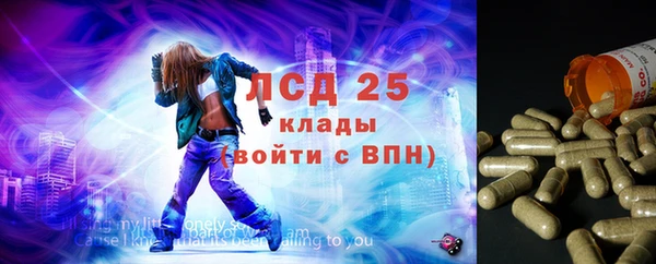 spice Аркадак