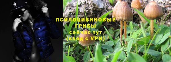 spice Аркадак