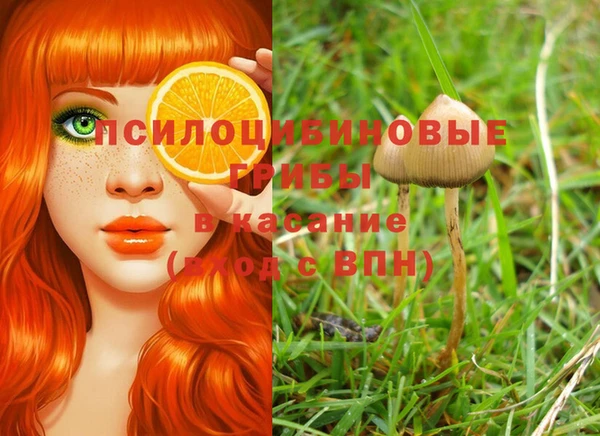 таблы Алзамай