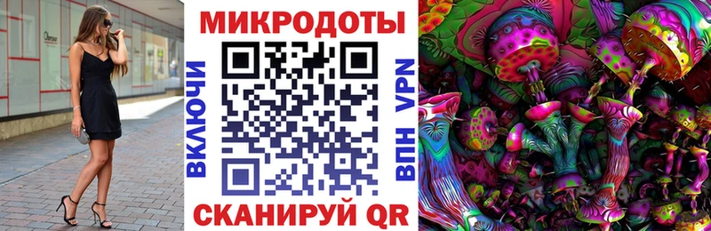 Псилоцибиновые грибы Psilocybe Заозёрный