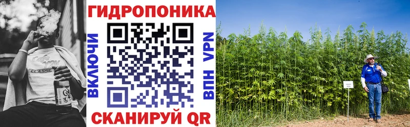 Марихуана план  блэк спрут рабочий сайт  Заозёрный 